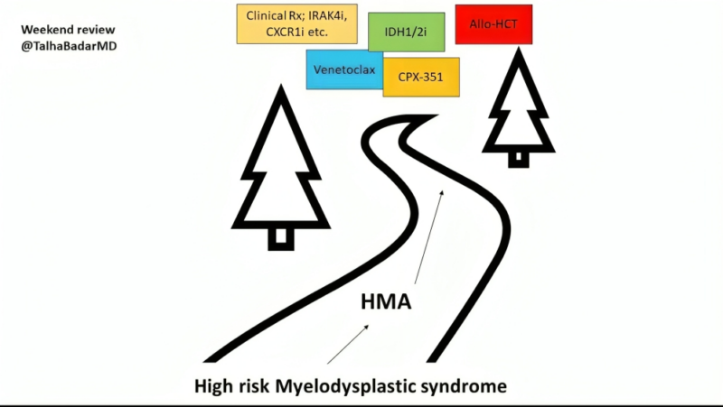 Talha Badar: Outcome of MDS progressing on hypomethylating agent