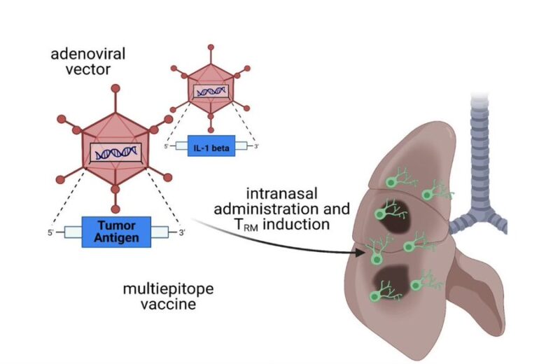 Patrick Hwu: This study demonstrates the importance of vaccine route when designing cancer immunotherapies
