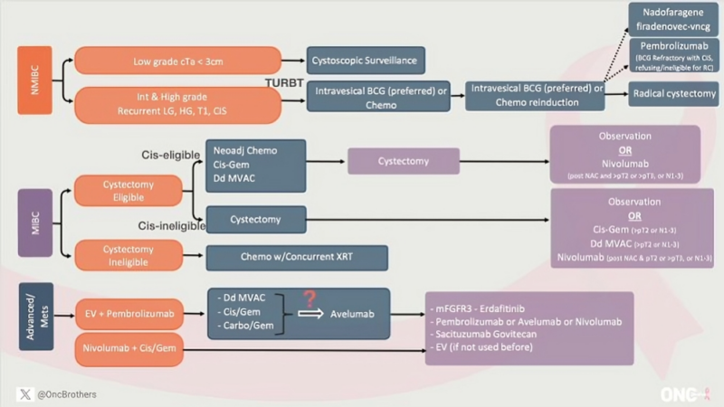 The updated Algorithm for Bladder Cancer - Oncology Brothers