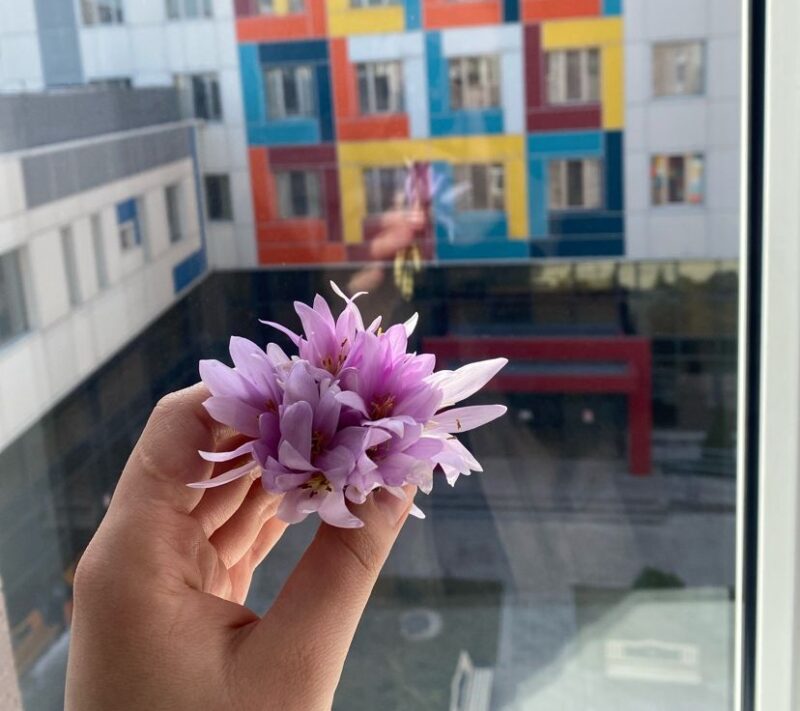 Lena Mkrtchyan: It was a week full of information and kindness