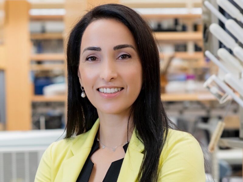 Research project involving melanoma treatment monitoring is now up for voting in STAT Madness – Brigham and Women’s Hospital