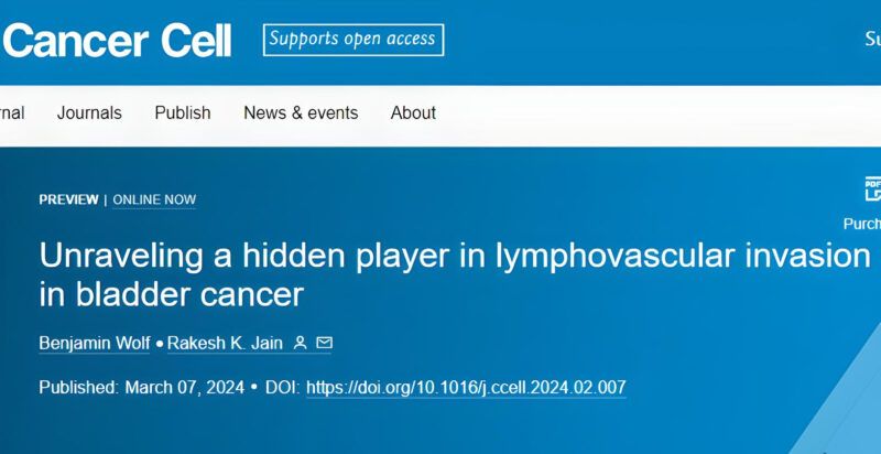 Maria Natalia Gandur Quiroga: New Insights on Bladder Cancer Invasion