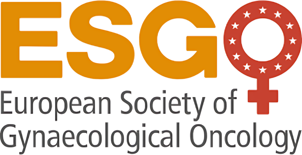 Ane Gerda Zahl Eriksson: Incredible effort from European Society of Gynaecological Oncology Accredited Centers