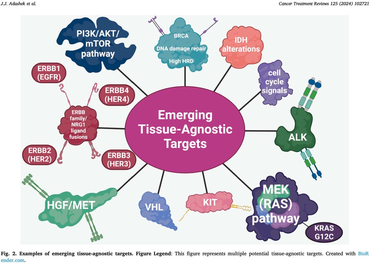 Jacob J. Adashek: If it’s a target, it’s a pan-cancer target: Tissue is not the issue