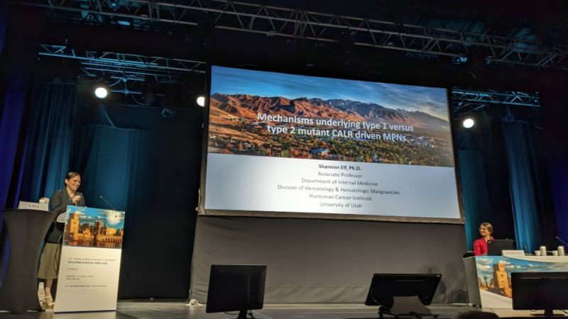 A lovely review on the mechanisms of transformation by CALR mutation – European School of Haematology (ESH)