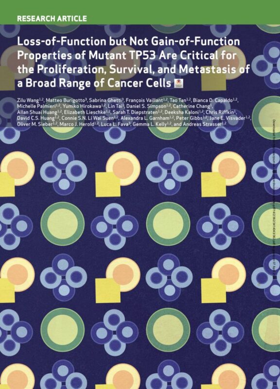 The Innovation Oncology – Loss-of-Function properties of mutant TP53 are critical for a broad range of cancer cells