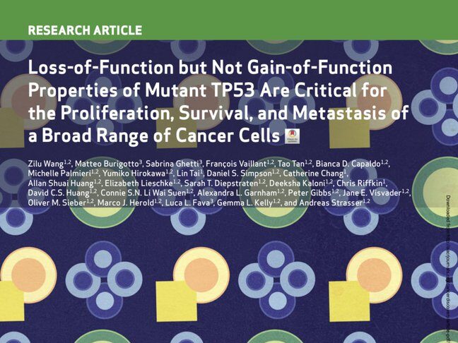 The Innovation Oncology – Loss-of-Function properties of mutant TP53 are critical for a broad range of cancer cells