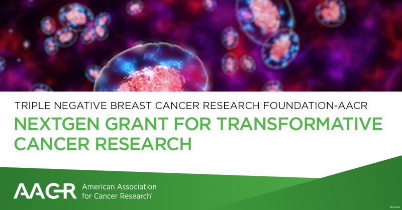 Junior faculty are invited to apply for the 2024 Triple Negative Breast Cancer Foundation-AACR NextGen Grant for Transformative Cancer Research
