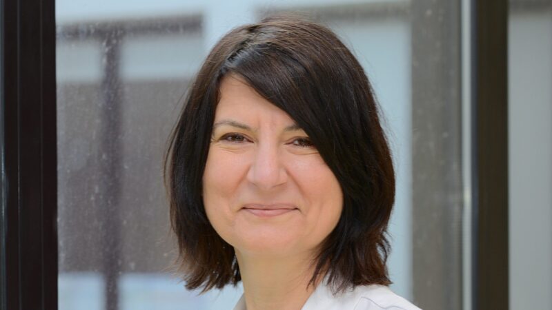 Vivek Subbiah: Window of opportunity (WOO) studies across cancer subtypes by Barbara Pistilli