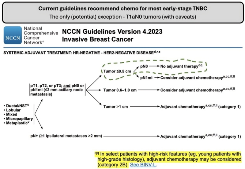 Roberto Leon-Ferre: The role of immune activation on the prognosis of early TNBC if chemo is not given?