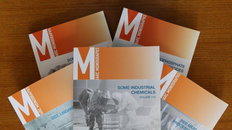 The results of the meeting of the Advisory Group to Recommend Priorities for the IARC Monographs 2025–2029 – IARC