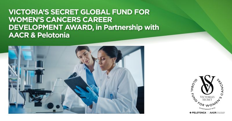 Female early-stage investigators are invited to apply for the Victoria’s Secret Global Fund for Women’s Cancers Career Development Awards – The American Association for Cancer Research
