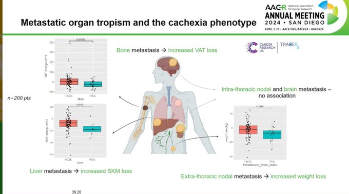 Mariam Jamal-Hanjani’s talk highlights need for biomarkers to identify patients at risk of developing cachexia - LUNGevity Foundation