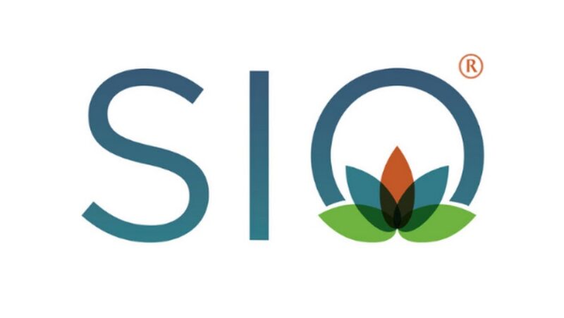 SIO ASCO guidelines summary in a simple image – Society for Integrative Oncology