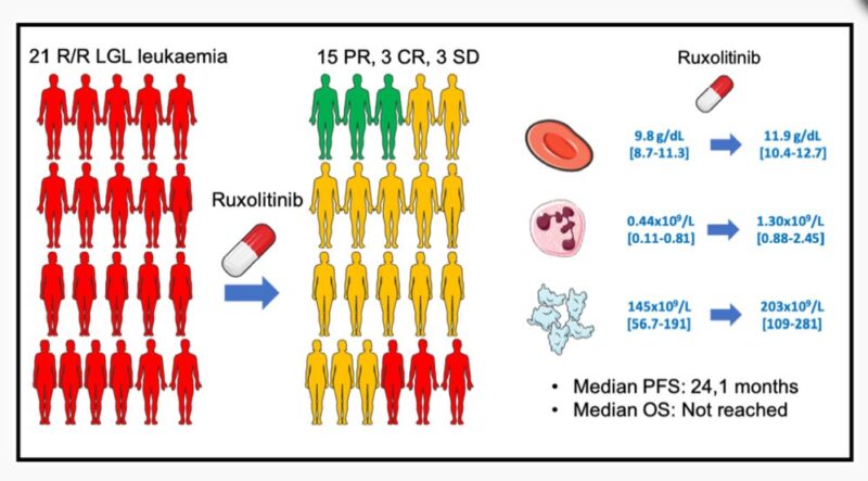 Emma Groarke on Ruxolitinib Study for Refractory T-LGL Leukemia from France