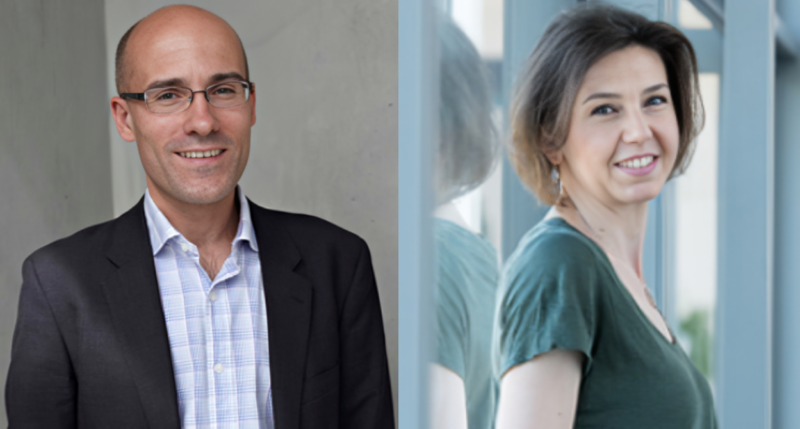 The Crick and UCL group leaders have received new European Research Council Advanced Grants