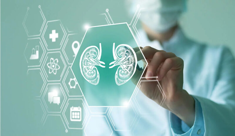 The Call for Abstract for IUCS24 is open! Submission deadline June is 30, 2024 – International Urology Cancer Summit