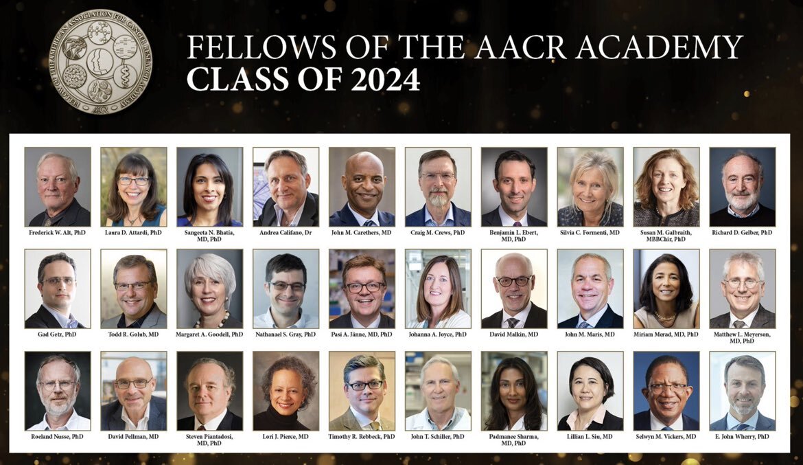 Vivek Subbiah: Huge congratulations to all the AACR Academy Fellows class 2024