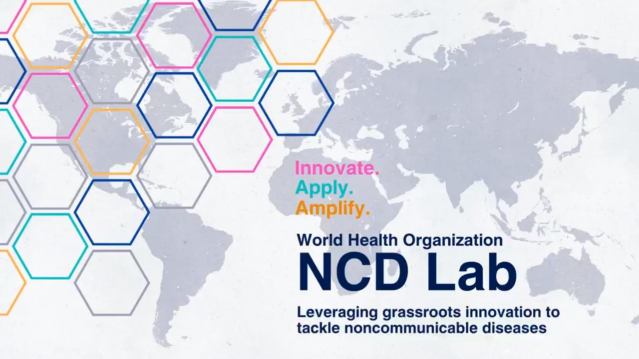 Claudia Batz: The WHO NCD Lab is back for a new term, with a new cycle launching very soon