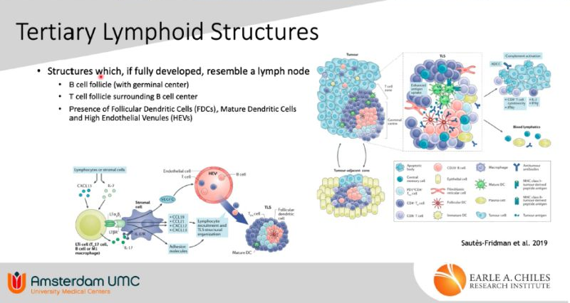 Bernard A. Fox: Guidelines for Optimizing NBTXR3 Nanoparticle Injection in Head and Neck Cancer: A Collaborative Achievement