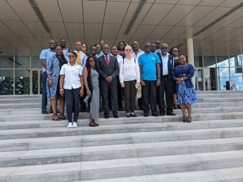 Idah Phiri: I’m delighted to have represented the Zambian Cancer Society at the recent high-level meeting with the WHO