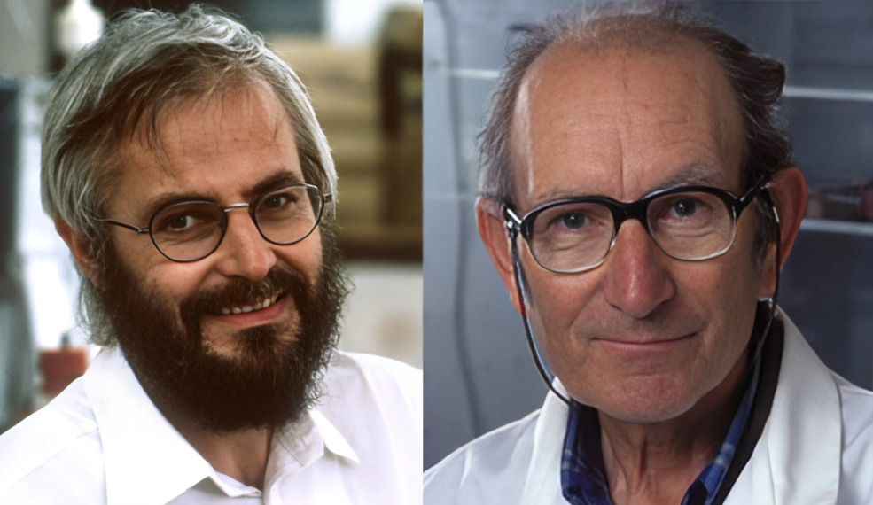 The Nobel Prize: In 1975 Georges Köhler and Cesar Milstein developed a method to fuse a normal antibody-producing cell with a tumour cell, forming a hybrid that was both immortal and could create a specific antibody
