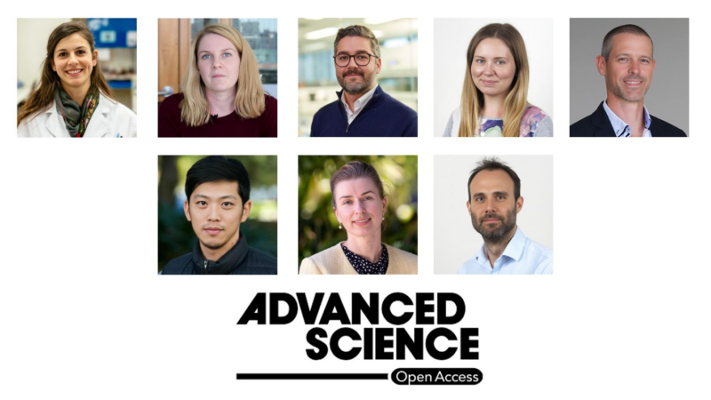 New Paper Alert! How Tumor Biomechanics Shape Metastatic Dissemination of Triple Negative Breast Cancer