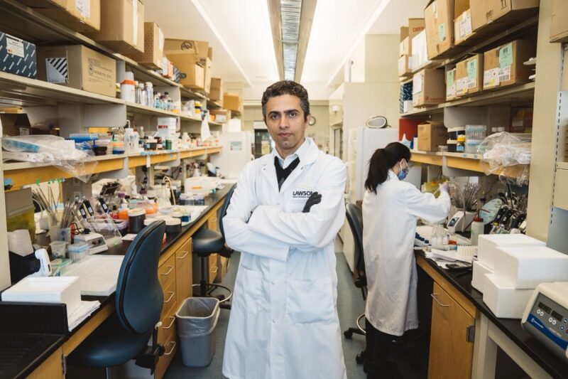 Saman Maleki – The ‘Researcher of the Year’ at Schulich Western University