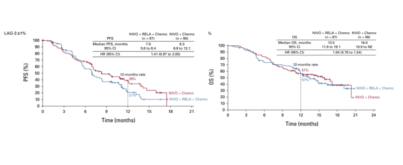 Piotr Wysocki: Relatlimab does not improve the activity of nivolumab plus chemotherapy