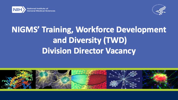 Oliver Bogler: A great opportunity to work at NIGMS as the Division Director of Training, Workforce, Development and Diversity
