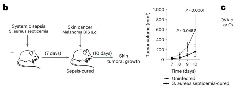 Samuel Hume: Interesting paper in Nature Immunology