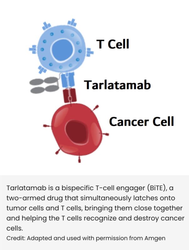 Vivek Subbiah: US FDA granted accelerated approval to tarlatamab-dlle