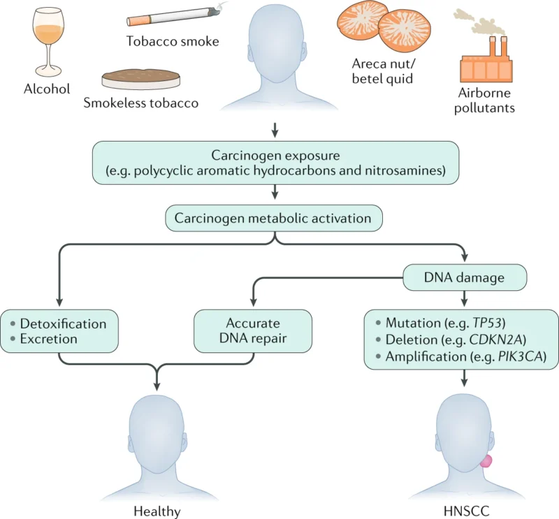 Head and Neck Cancers: Immunotherapy Advances