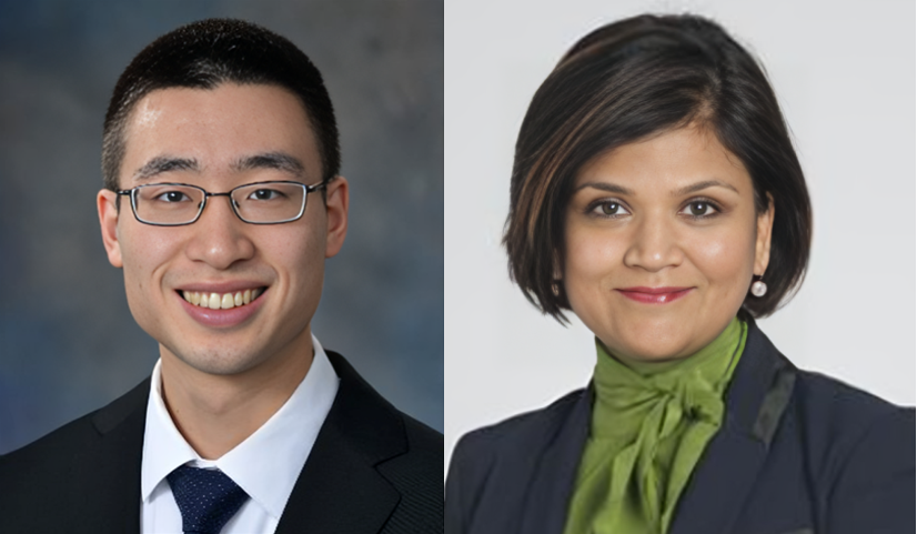 Excellent review by Albert Jang and Shilpa Gupta on papillary RCC – Kidney Cancer Journal