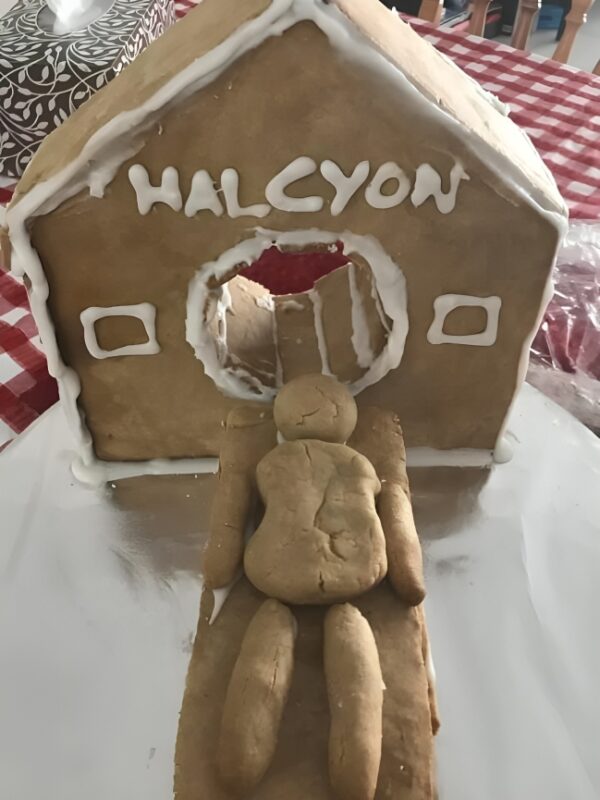 Julie McCrossin: What a LINAC or radiation therapy machine looks like