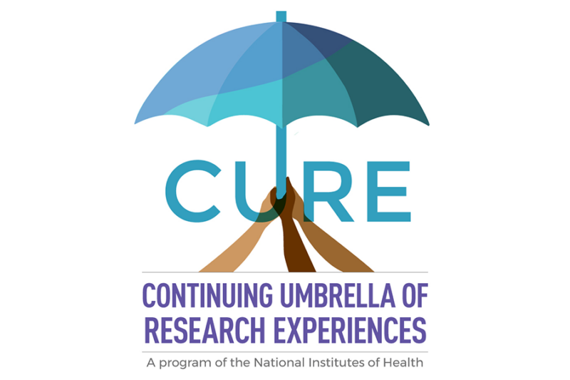 CURE program offers unique training and career development opportunities – National Cancer Institute