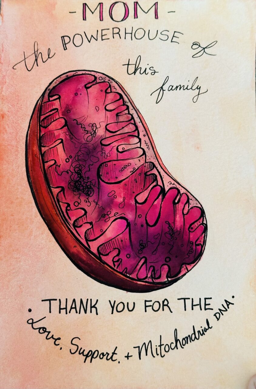 Mark Lewis: Happy mitochondrial inheritance day!