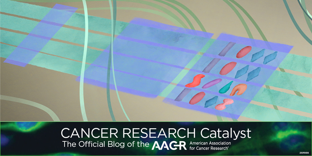 The May Editors’ Picks from AACR journals