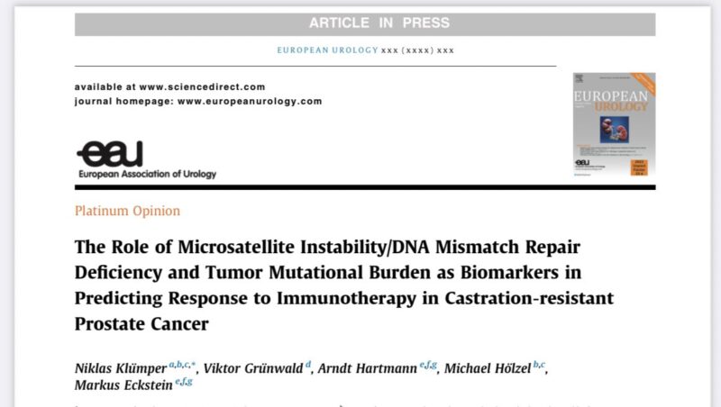 Emre Yekedüz: A great summary by Niklas Klümper, Viktor Grüenwald and team about the role of MMR/MSI