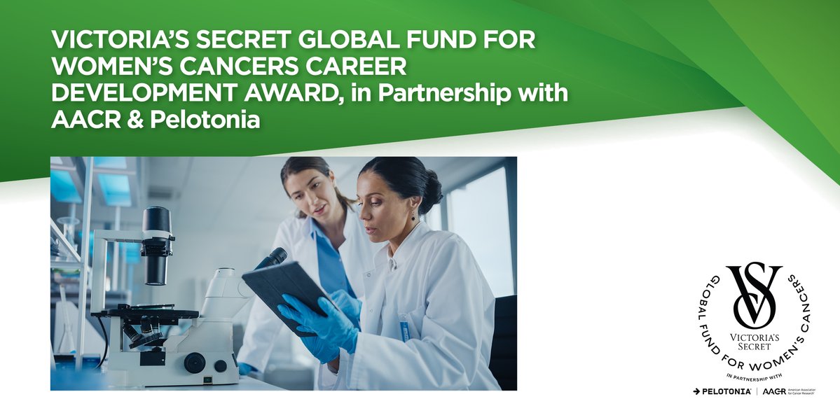 The Victoria’s Secret Global Fund for Women’s Cancers Career Development Awards – AACR