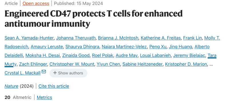 Elena Sotillo: Engineering CAR-T cells for combination therapy with CD47 blockade