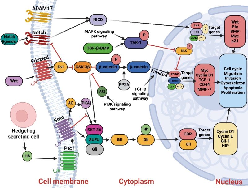 Molecular Biomarkers