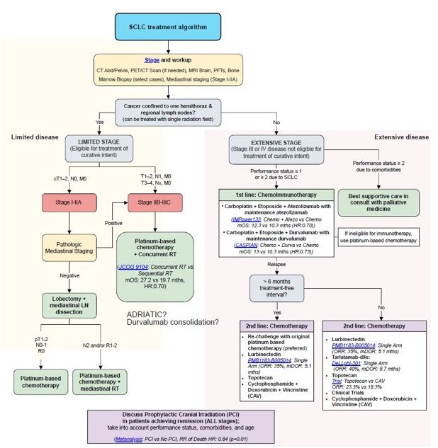 Small Cell Lung Cancer