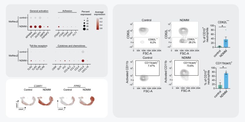 Madelon de Jong: My final PhD paper is out in Nature Immunology