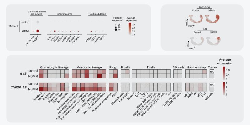 Madelon de Jong: My final PhD paper is out in Nature Immunology