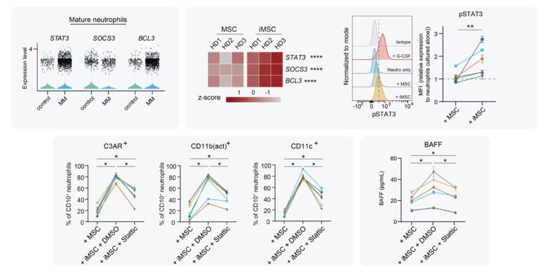 Madelon de Jong: My final PhD paper is out in Nature Immunology