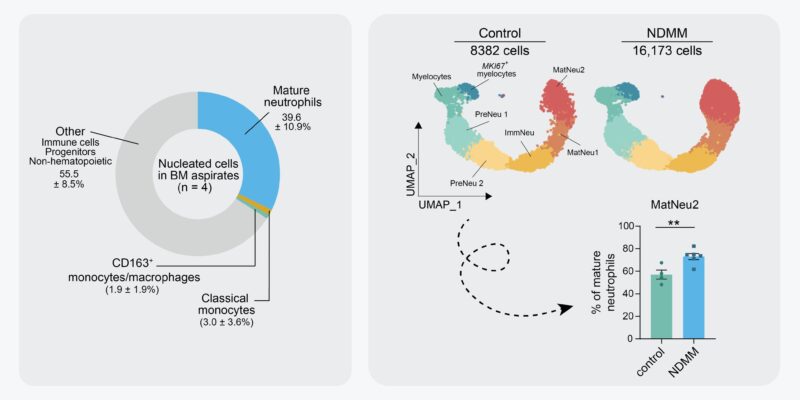 Madelon de Jong: My final PhD paper is out in Nature Immunology