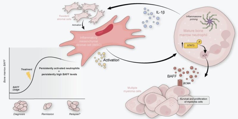 Madelon de Jong: My final PhD paper is out in Nature Immunology