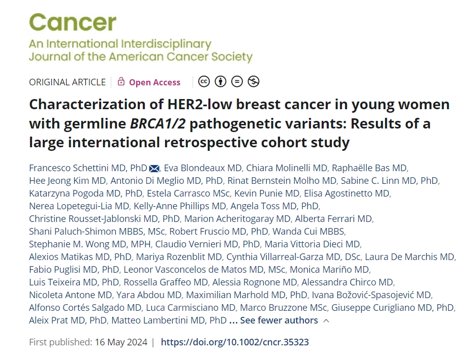 Aleix Prat: HER2‐low breast cancer in young women with germline BRCA1/2 pathogenetic variants