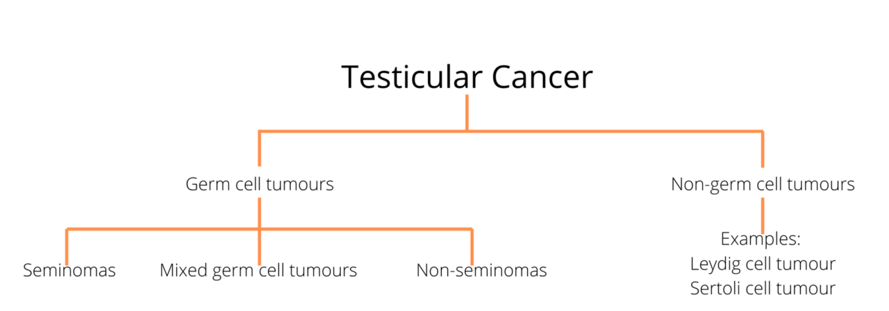 Testicular cancer Diagram